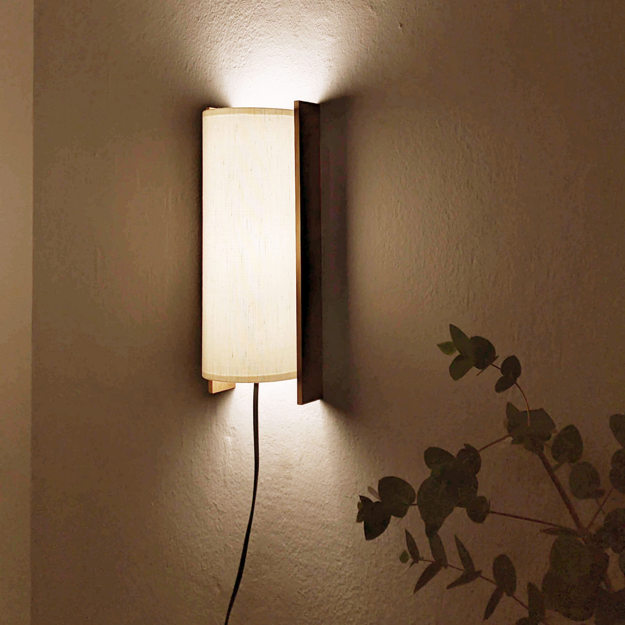 Estudio - Imagen trasera